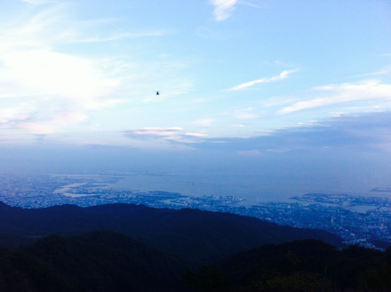 11月の画像