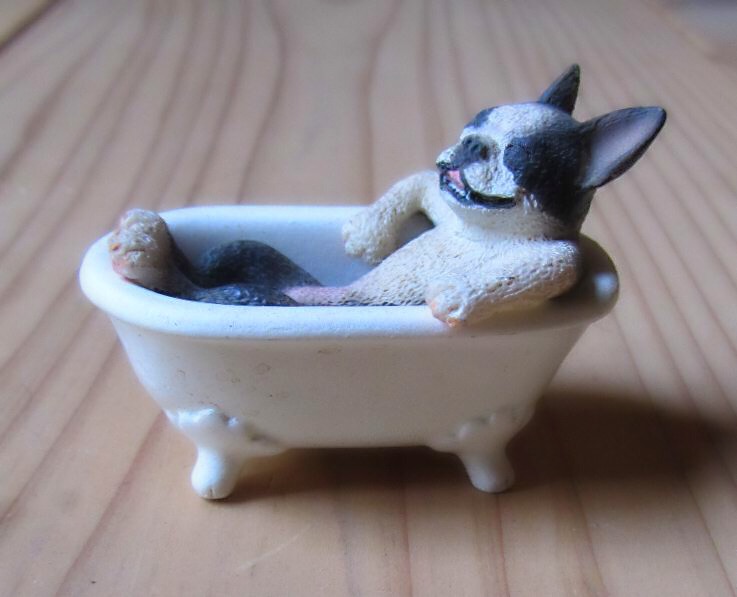 の画像