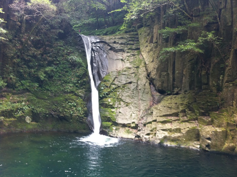 の画像