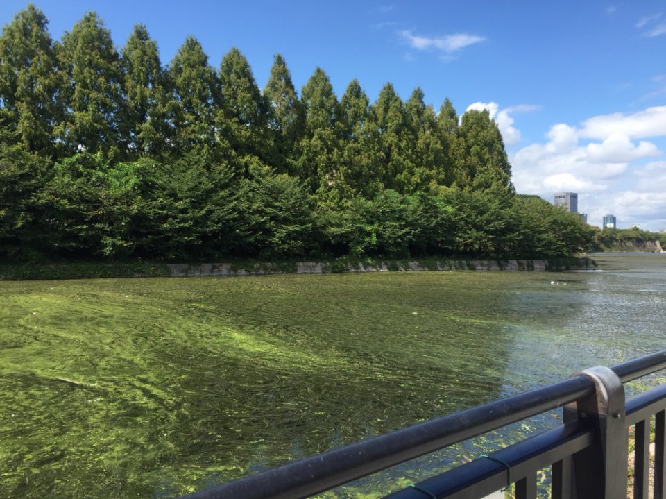 の画像