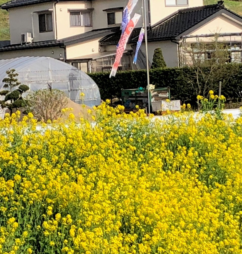 悠々と☀の画像