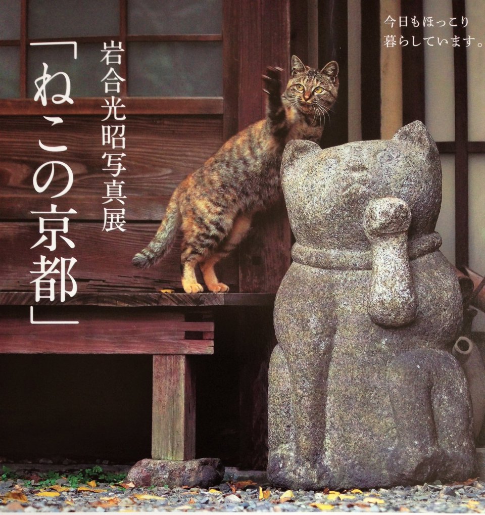 の画像