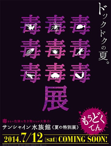 の画像