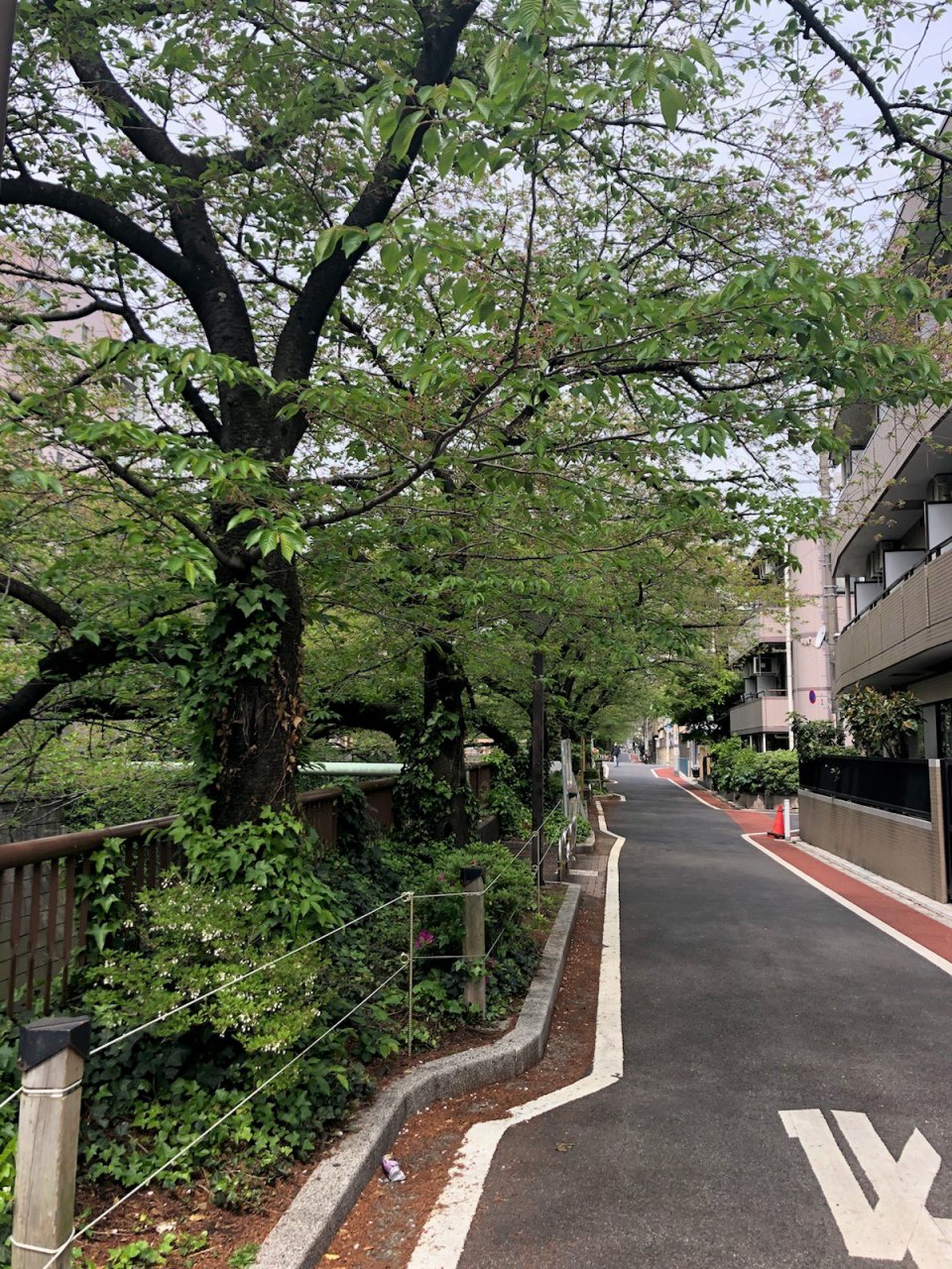 春の訪れの画像
