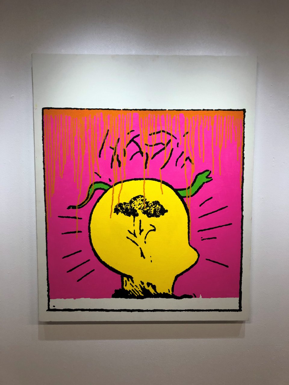 の画像