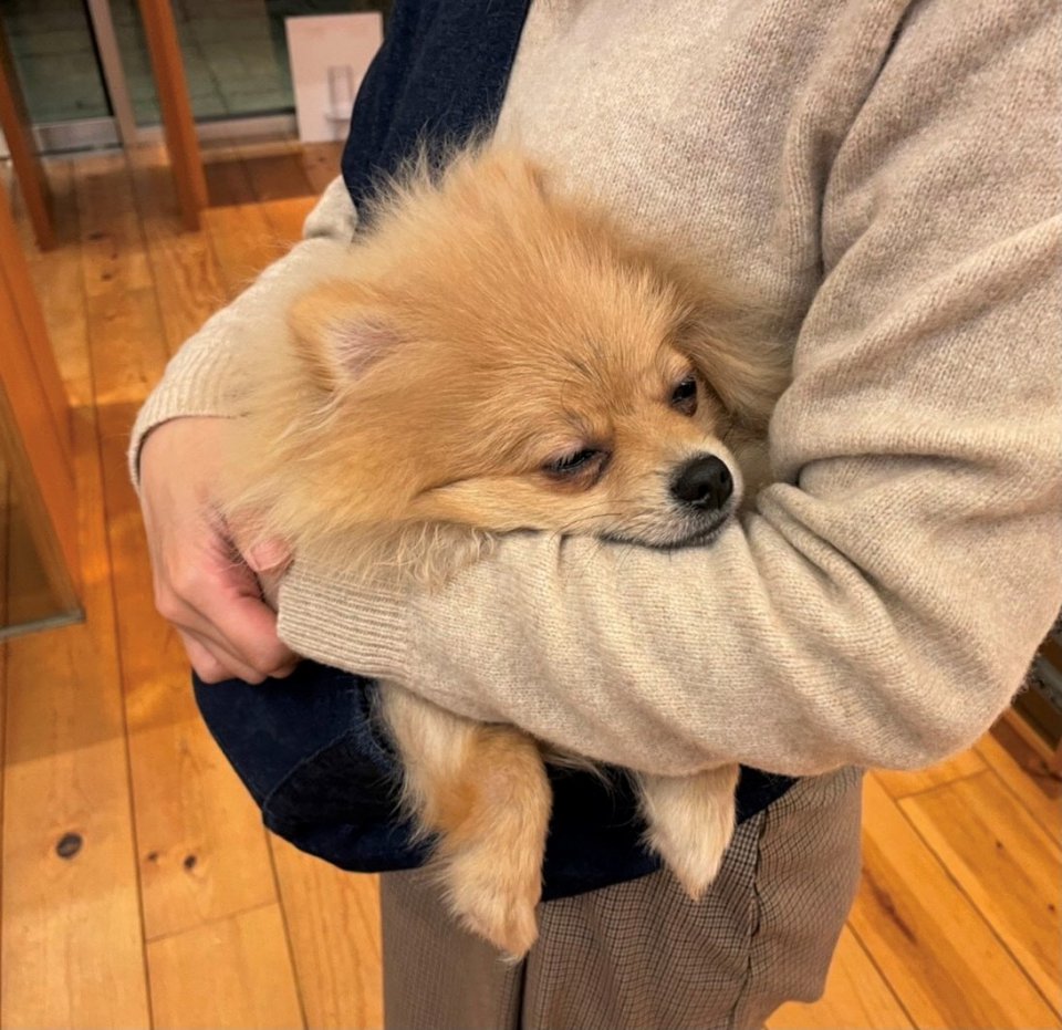 ぽてまる君の画像