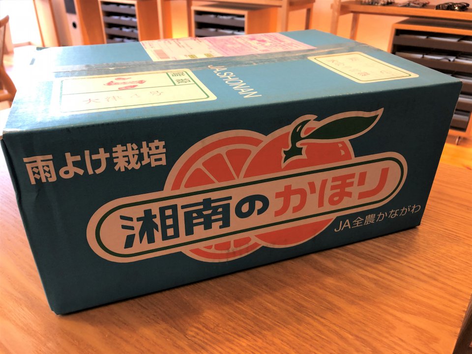 の画像