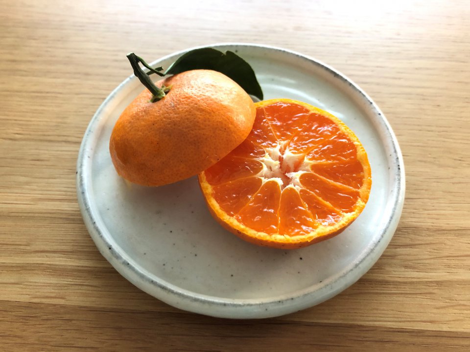 みかんの概念が♬の画像