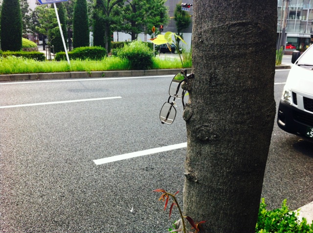 の画像
