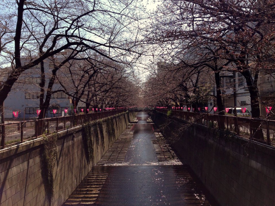 返答 ２の画像