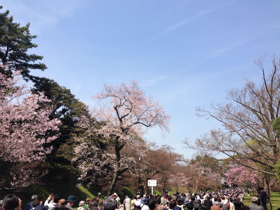 の画像