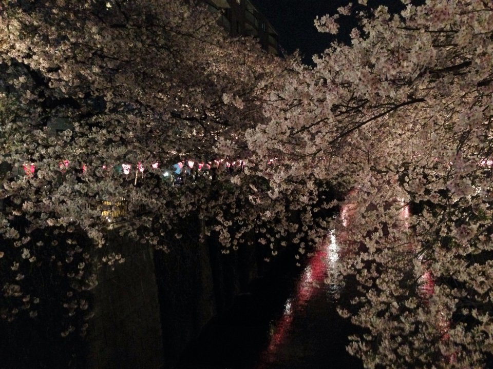 年末と年始　２の画像