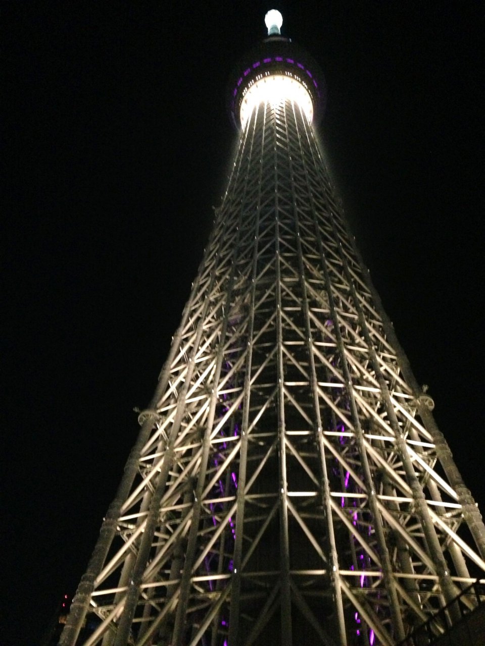の画像