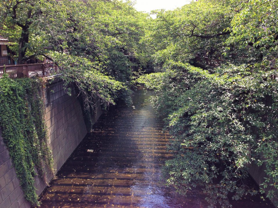の画像