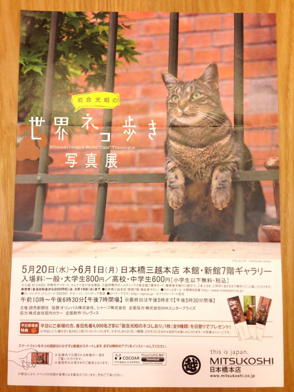 の画像