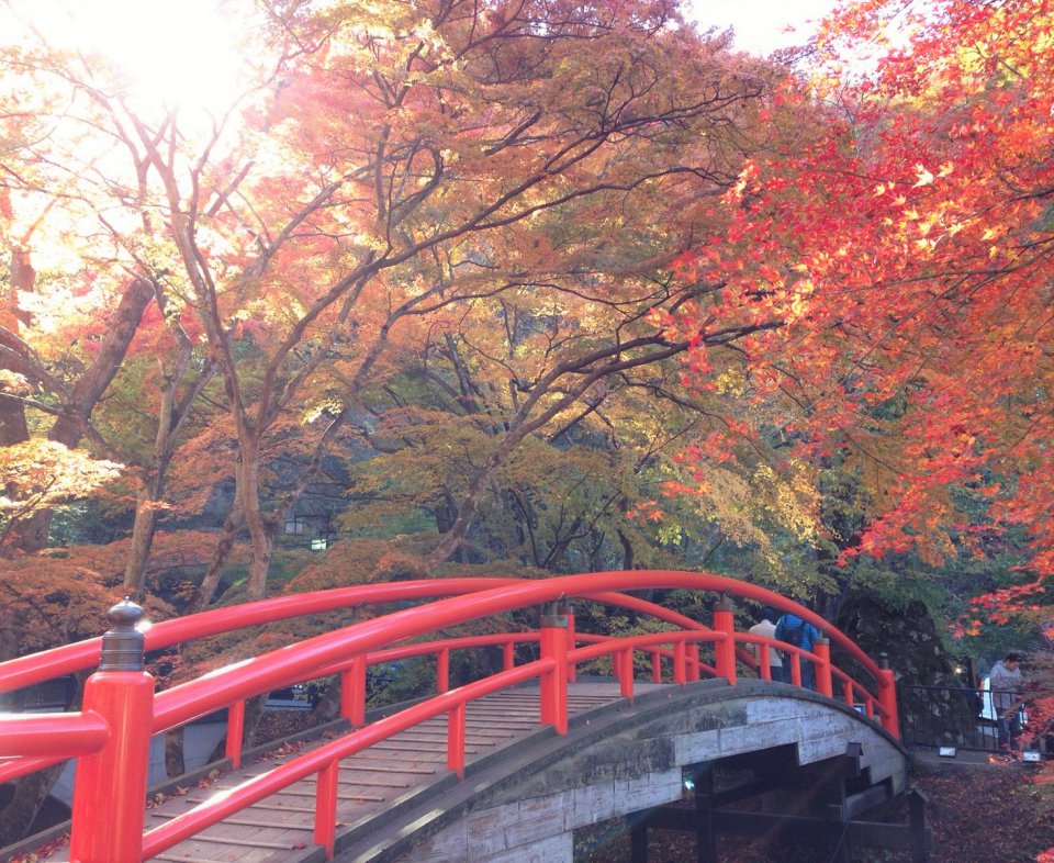 の画像