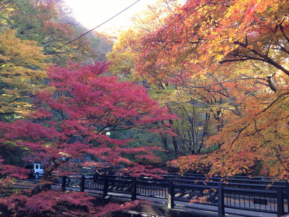 息を吞むの画像
