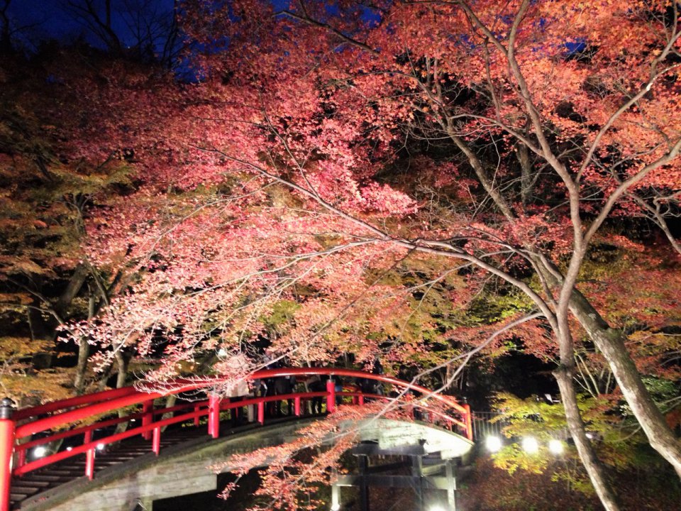 息を吞むの画像