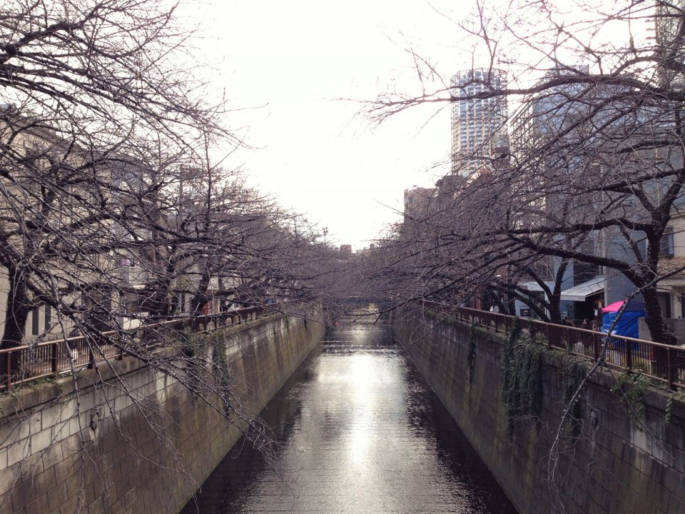 点灯中☆の画像