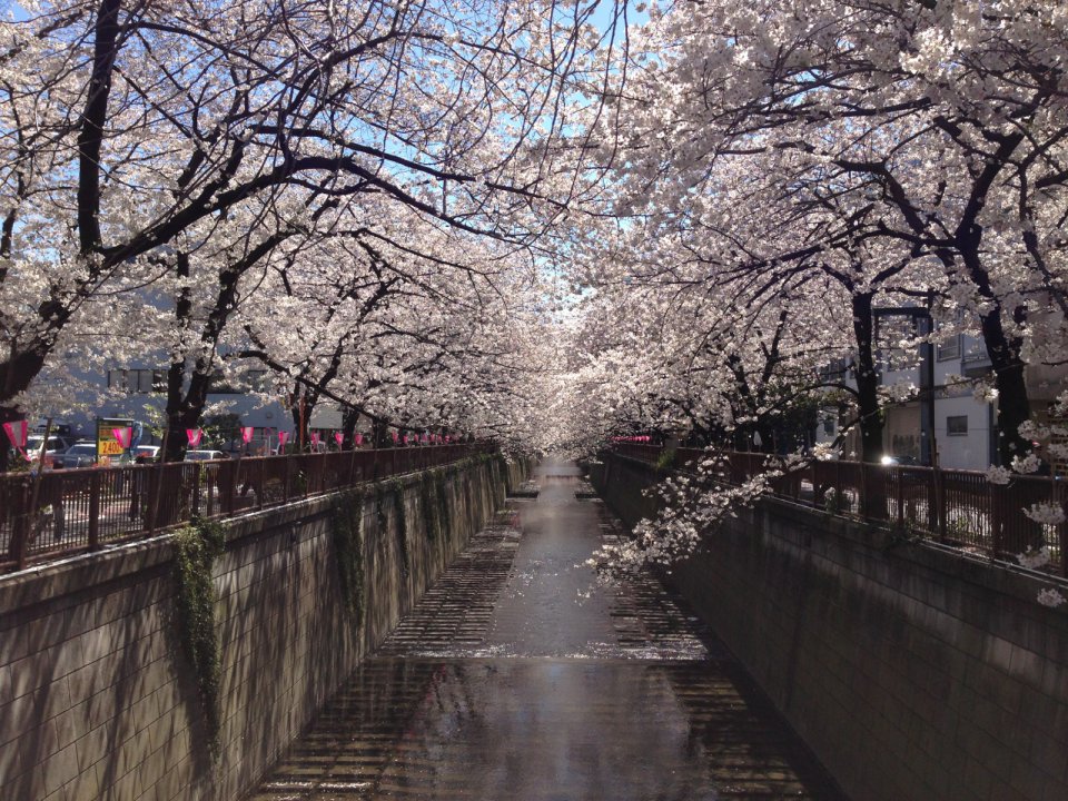 ちょっとの余裕の画像