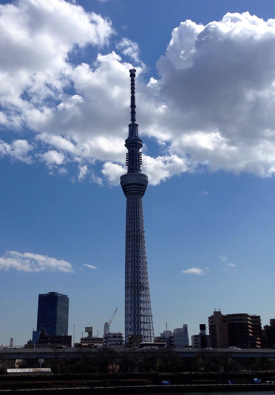 今年も…花よりの画像