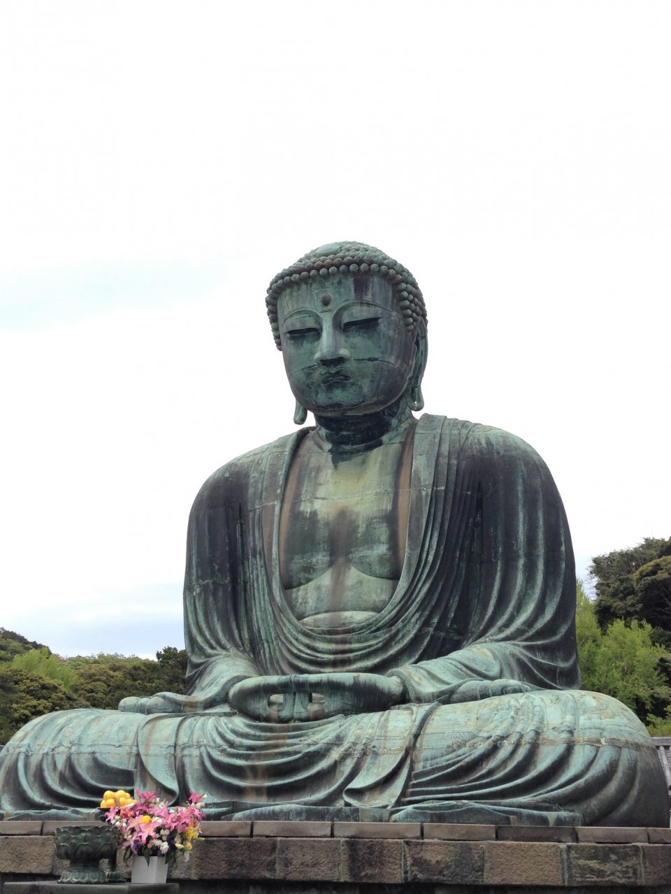 の画像