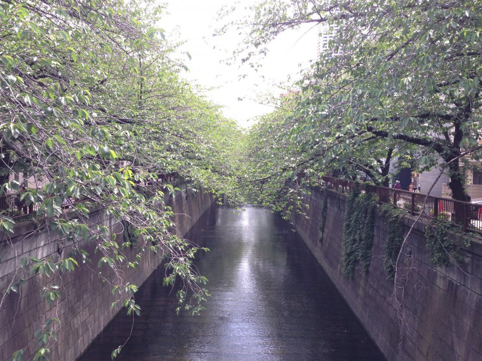 の画像