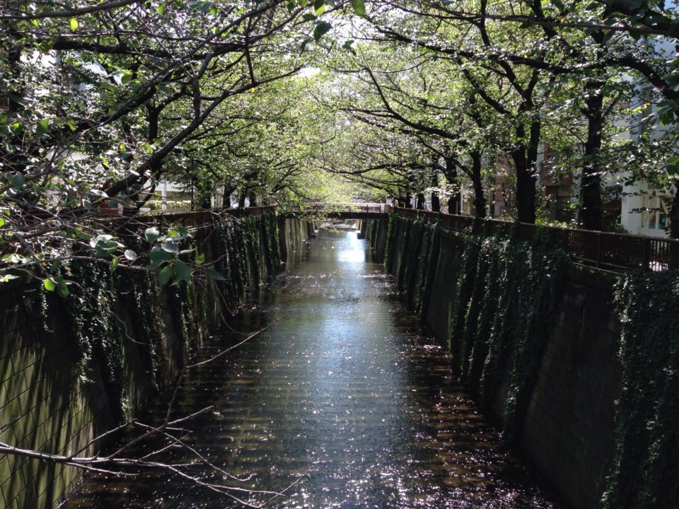 推奨　お散歩☝の画像