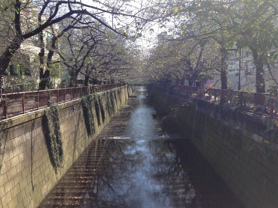 首を長くしての画像