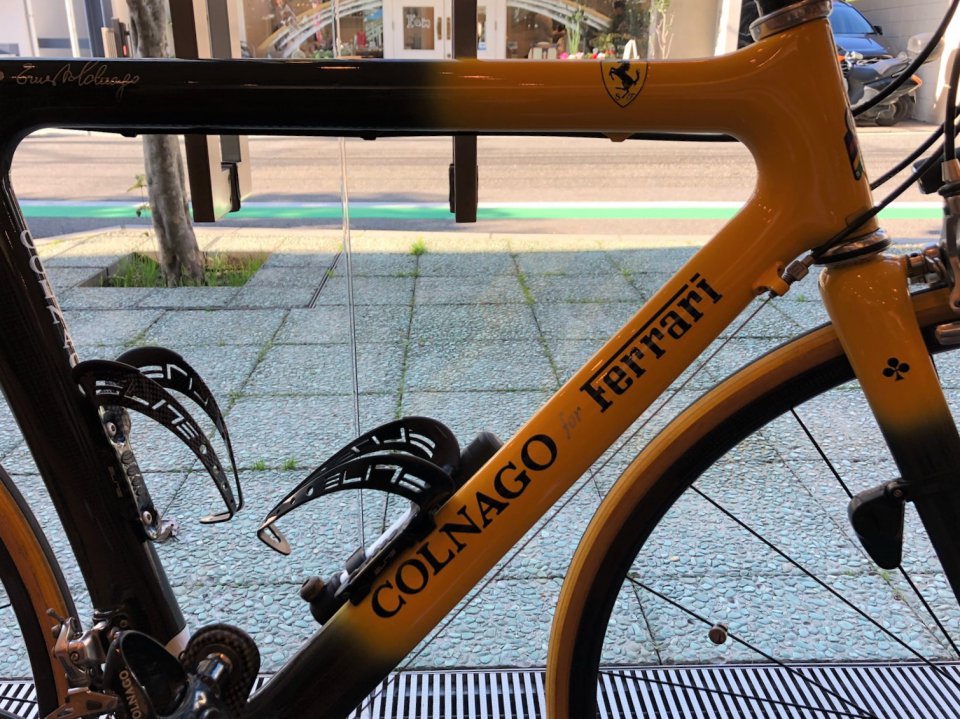 モデナ・イエローの画像