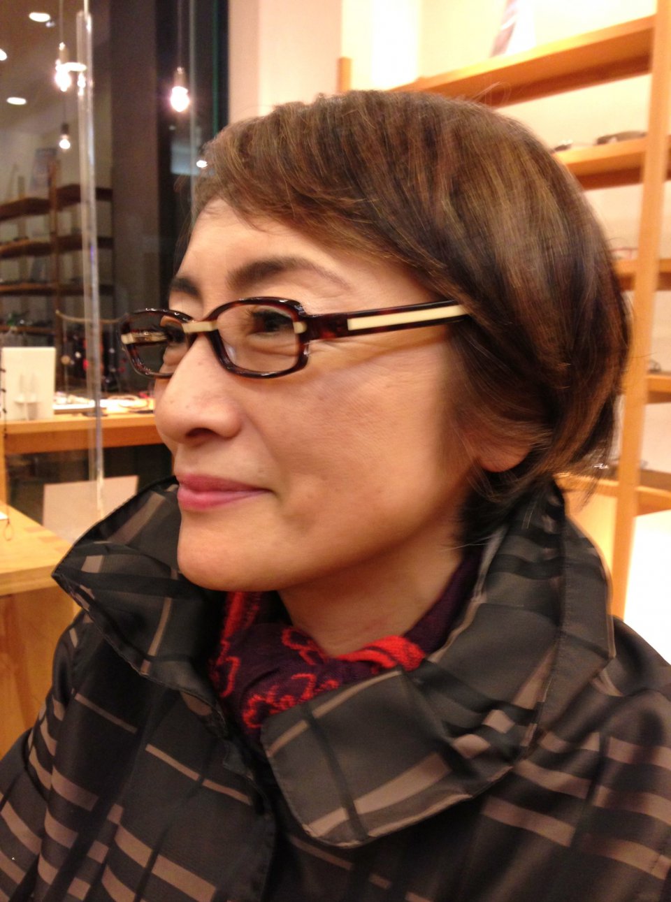 Same Model ?の画像
