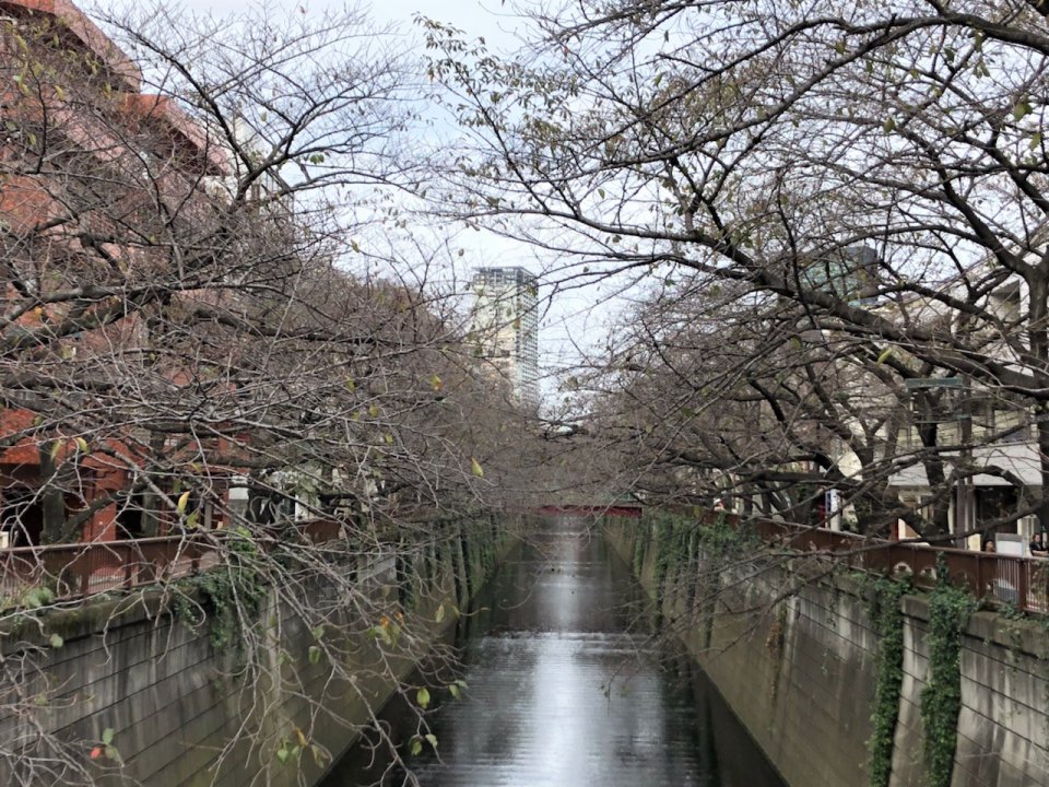 秋と冬の香りと…コーヒーとの画像