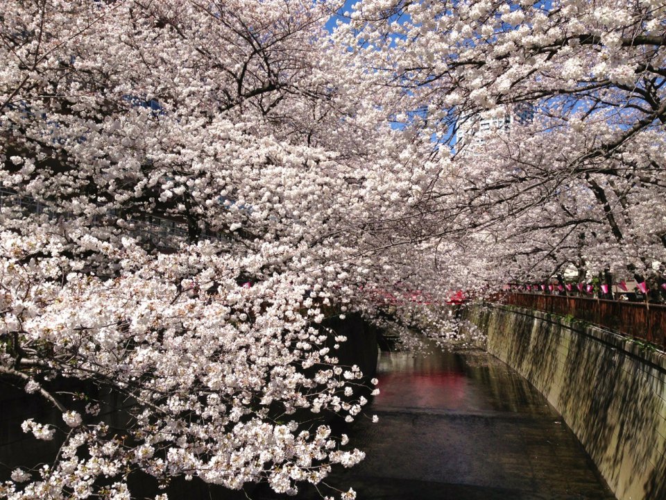 この寒さもきっと！の画像