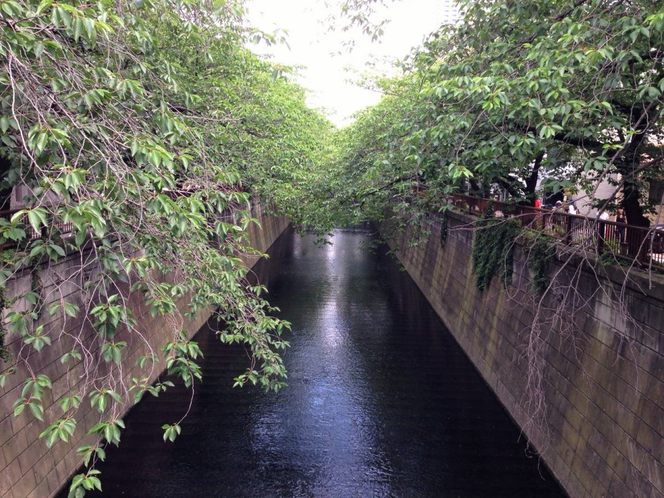 最強コンビ！の画像