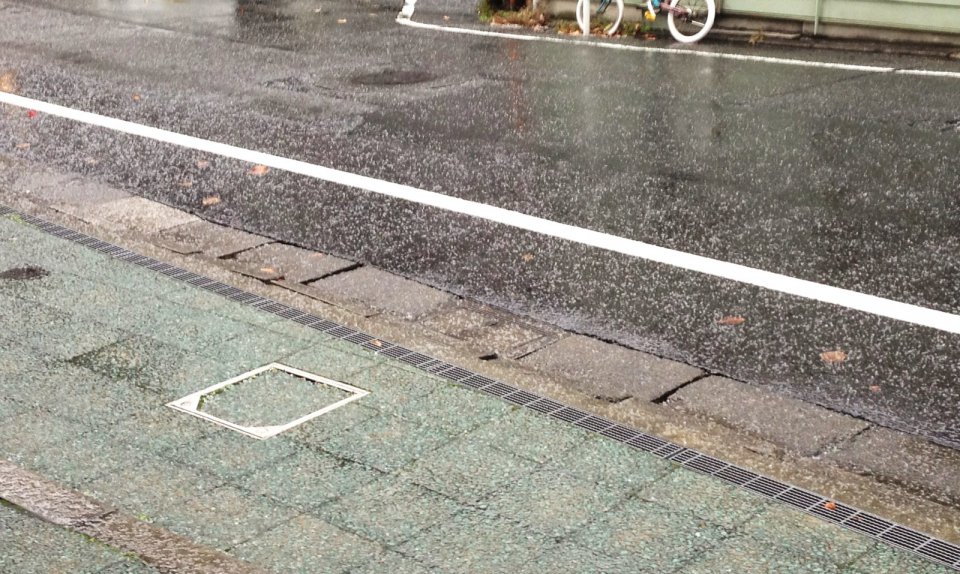 なぜか・・・！？の画像