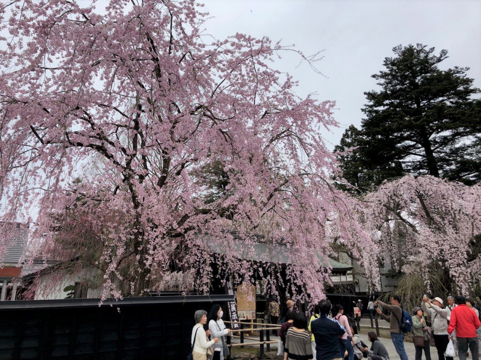 の画像