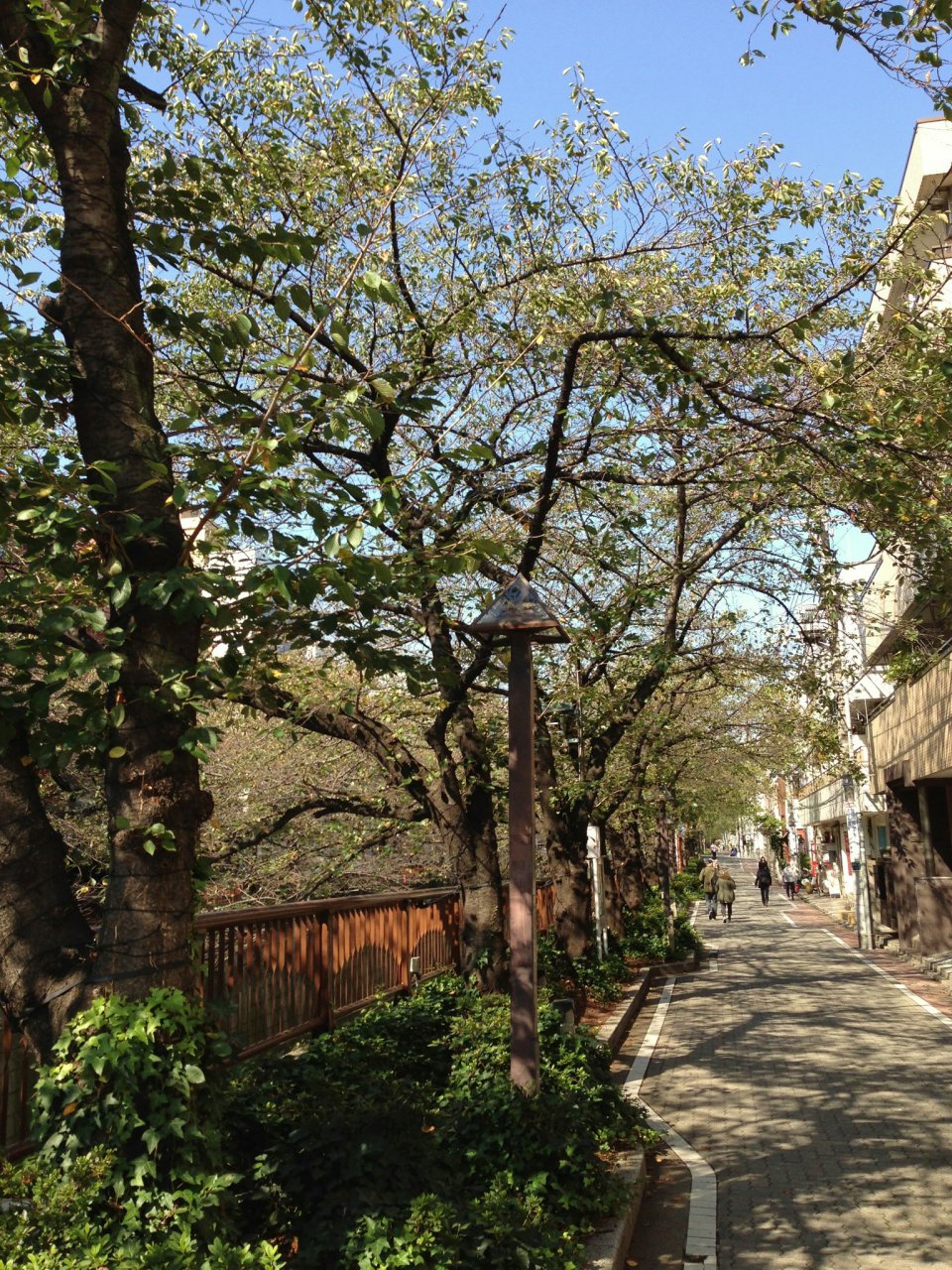 Autumn colorsの画像