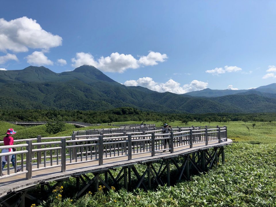 夏休みの画像
