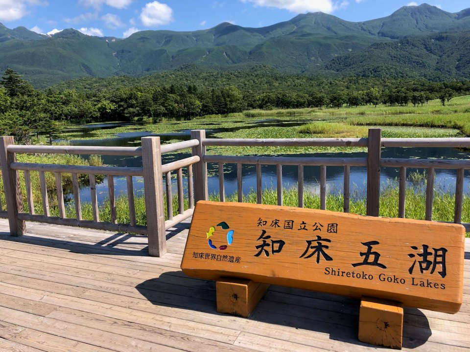 夏休みの画像