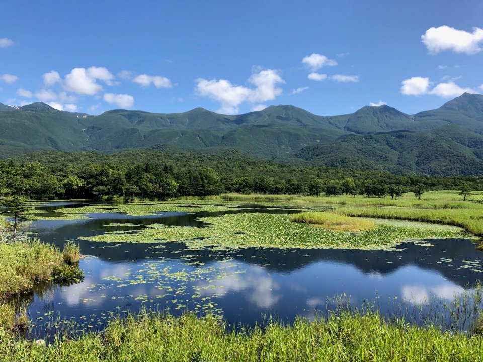 の画像