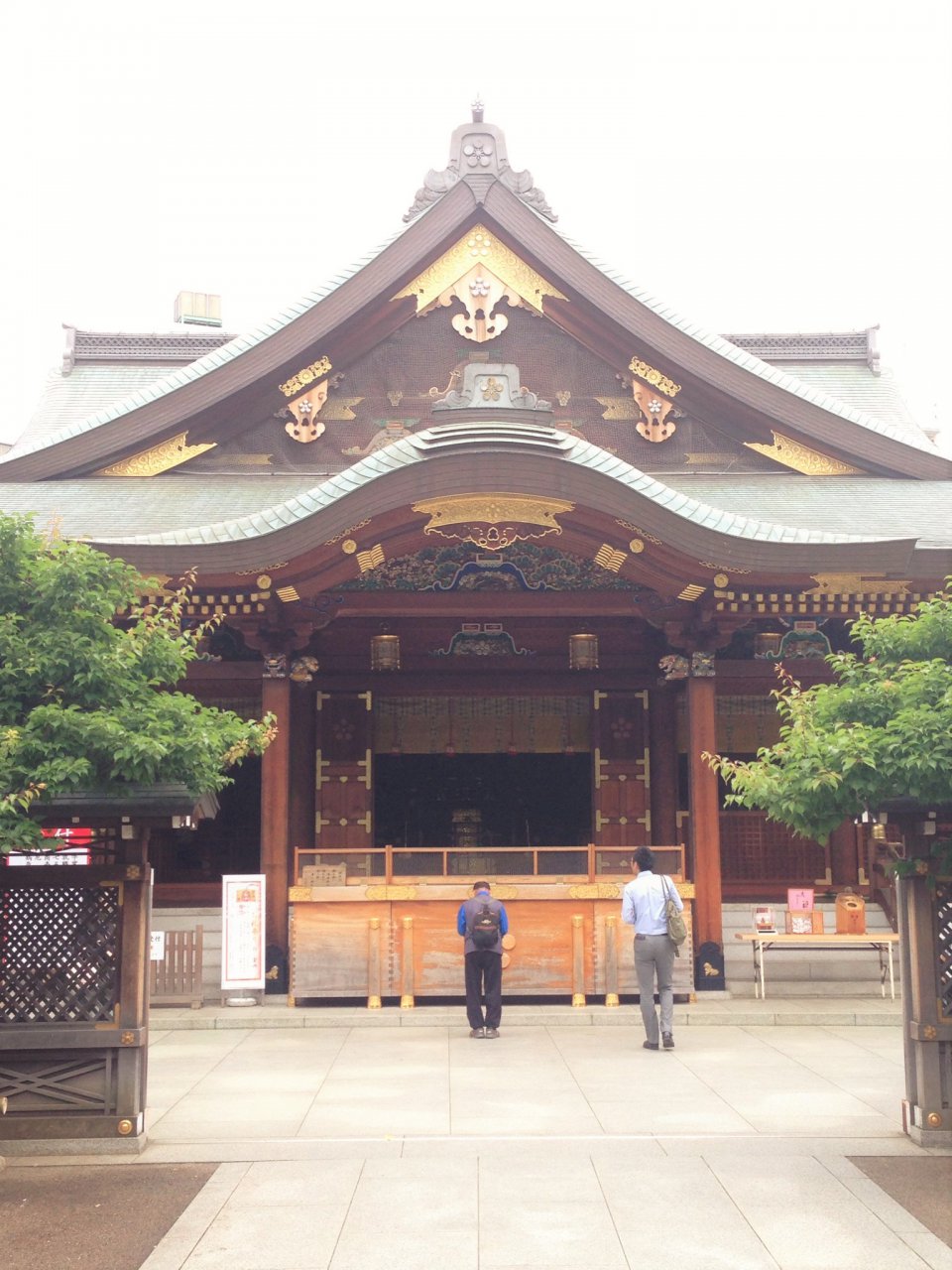 の画像