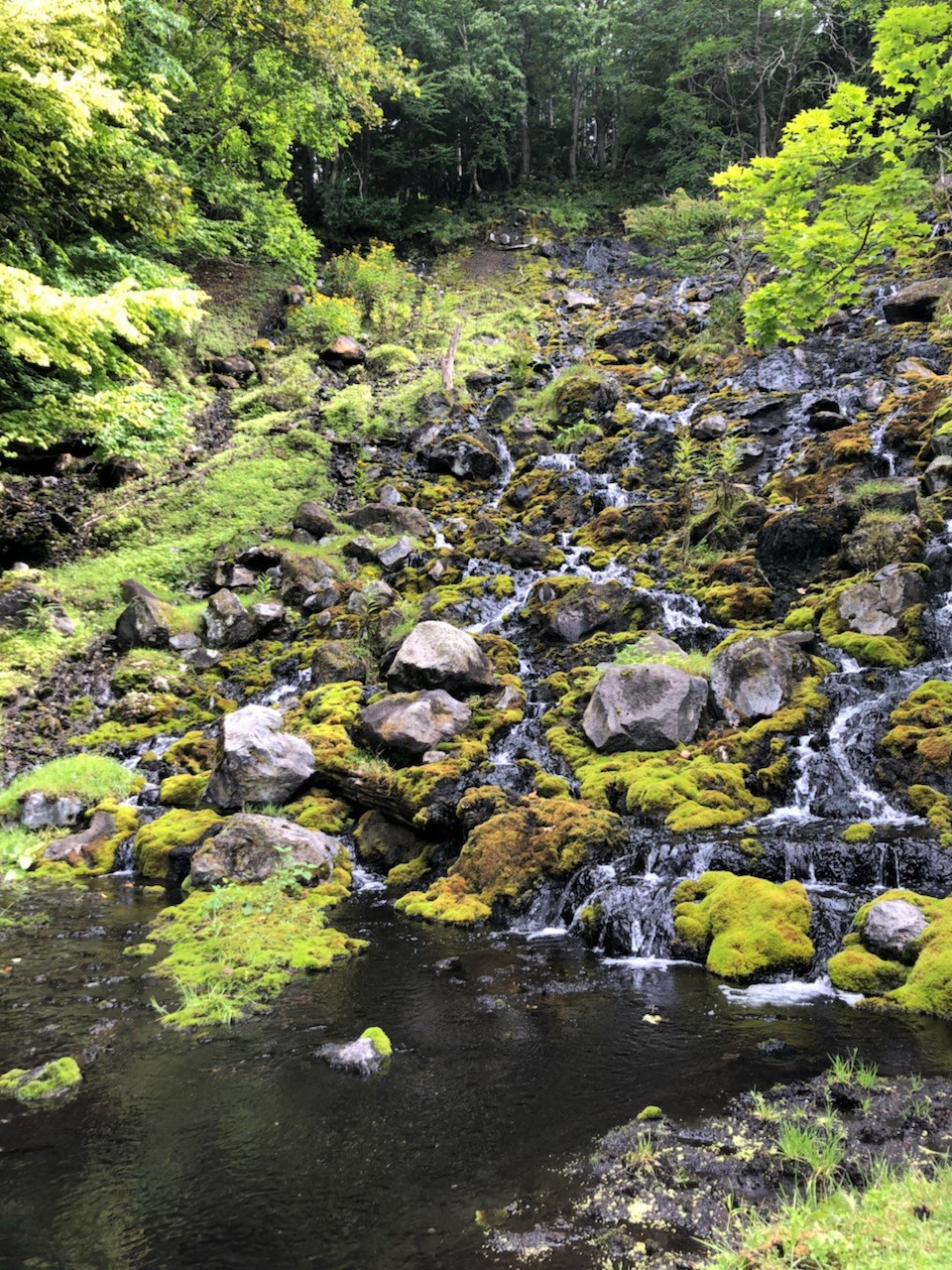 楽園！？の画像