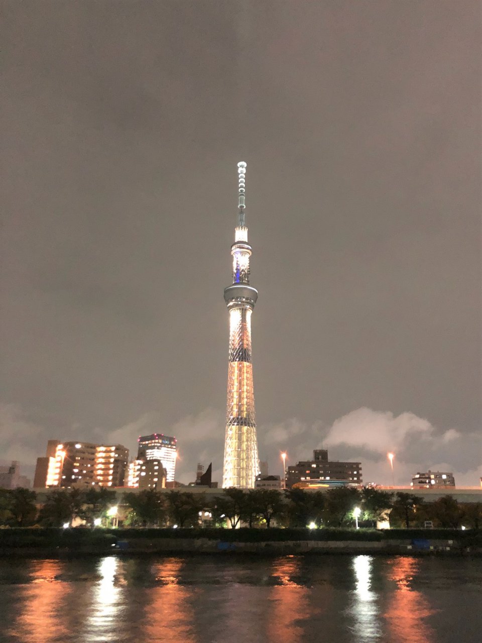の画像