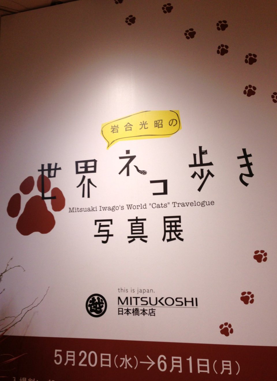 の画像