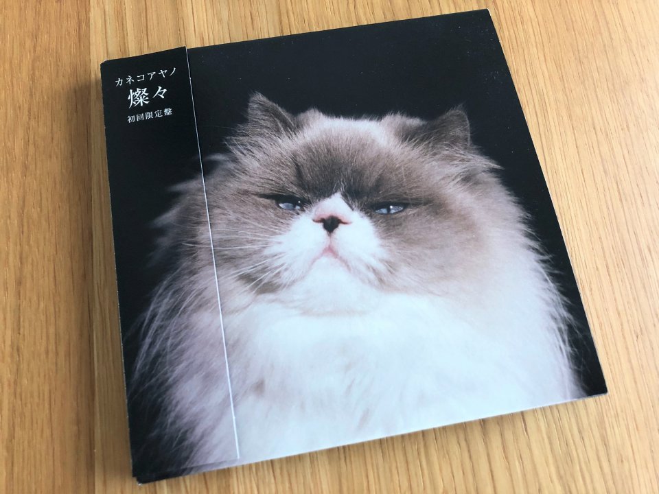 ２０１９年締めのライブは…の画像