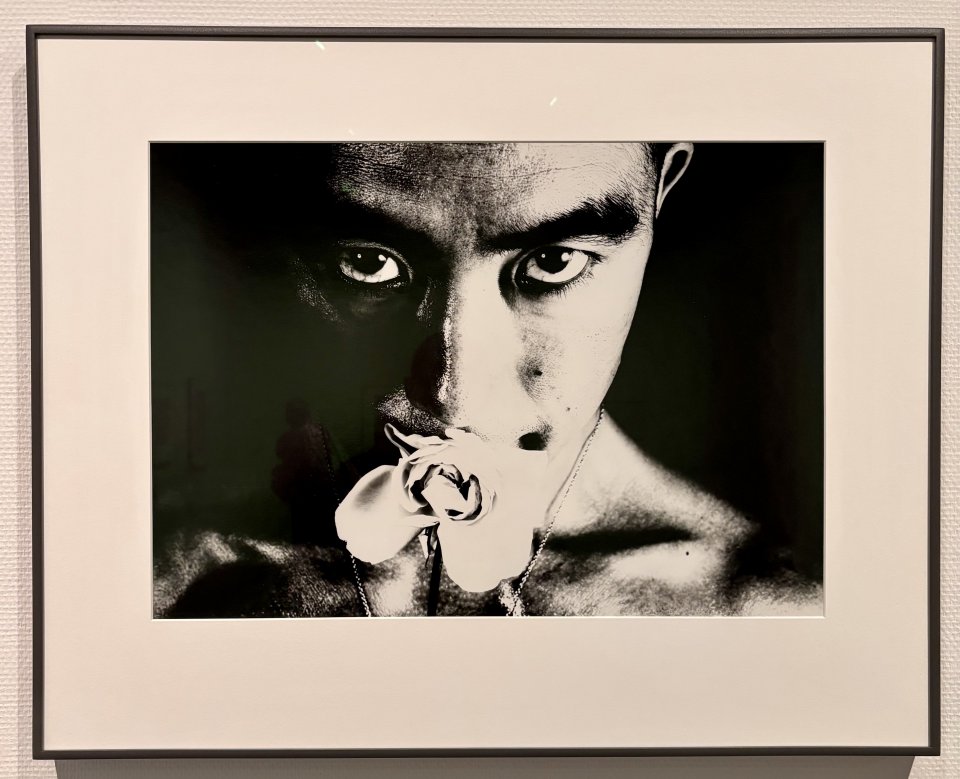 MOMATコレクションの画像