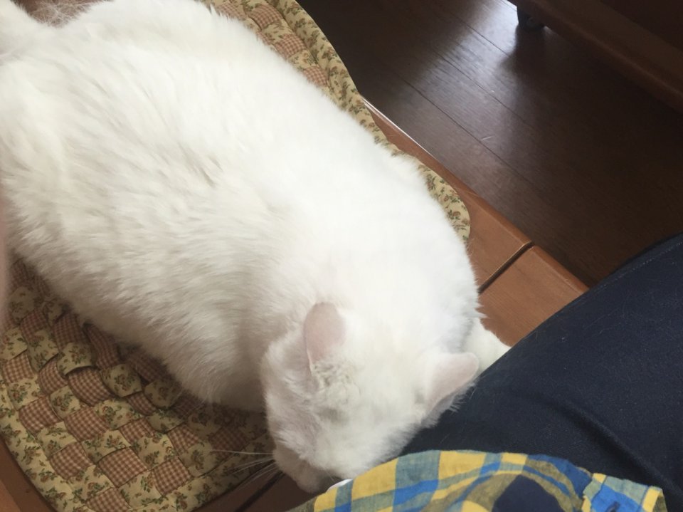 一休みの画像