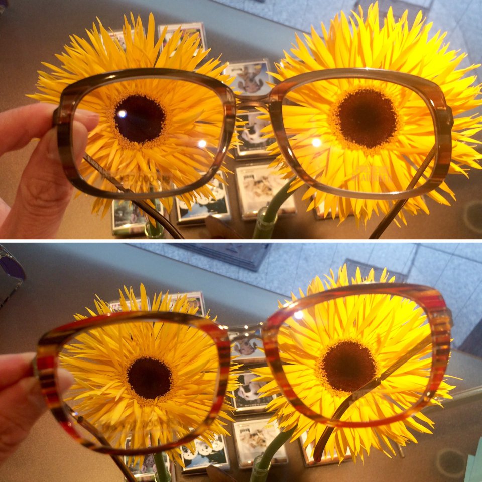今月のお花たちの画像