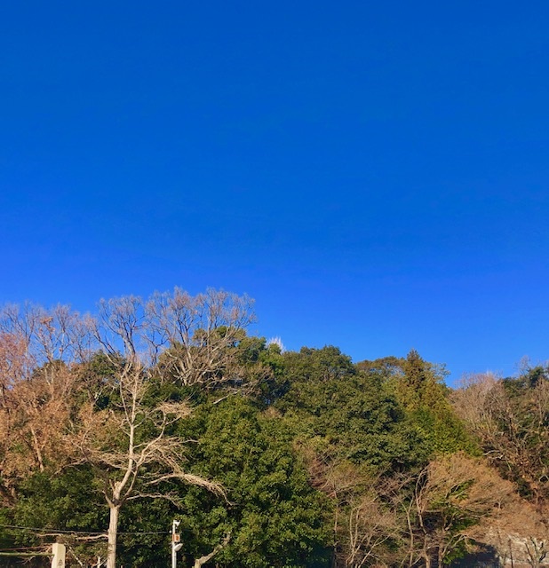 色違いも♪の画像