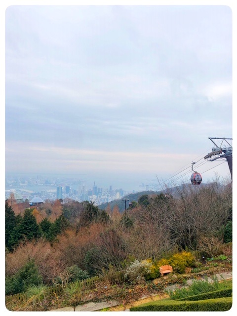 の画像